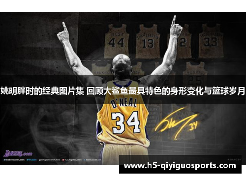 姚明胖时的经典图片集 回顾大鲨鱼最具特色的身形变化与篮球岁月