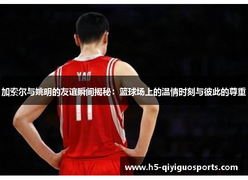 加索尔与姚明的友谊瞬间揭秘：篮球场上的温情时刻与彼此的尊重